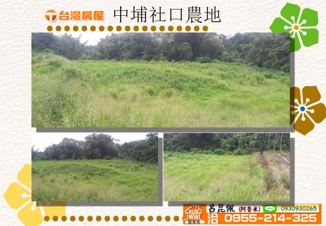 嘉義中埔農地-0