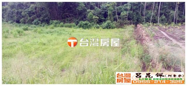 嘉義中埔農地-1