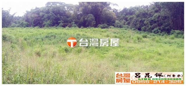 嘉義中埔農地-2