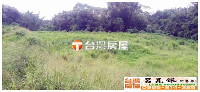 嘉義中埔農地-3