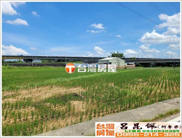 嘉義中埔農地-3