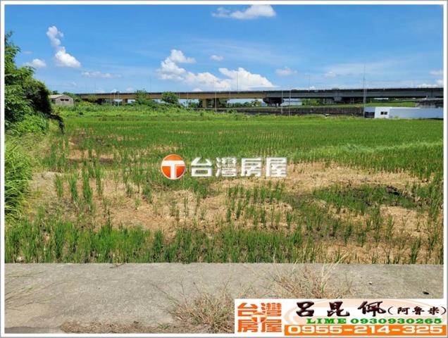 嘉義中埔農地-4