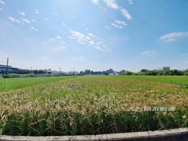 嘉義民雄農地-0