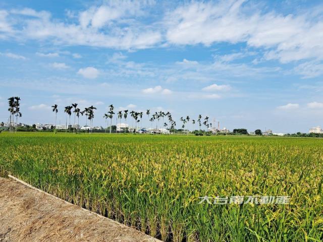 嘉義民雄農地-1