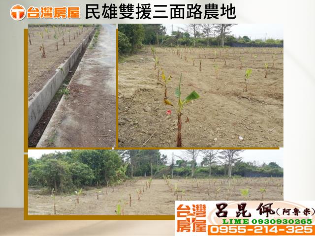 嘉義民雄農地-0