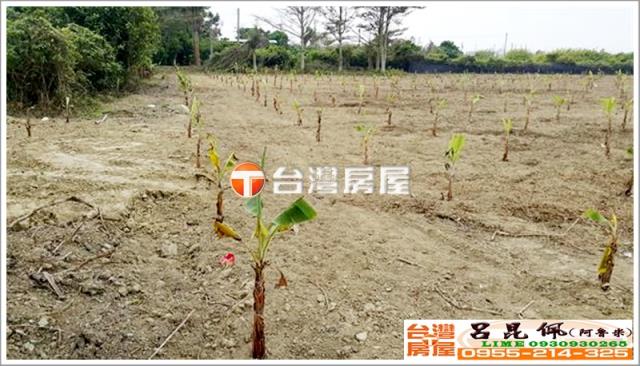 嘉義民雄農地-1