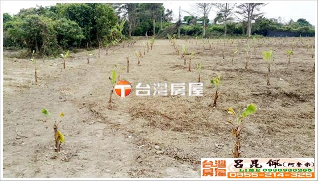 嘉義民雄農地-3