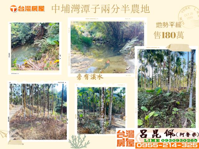 嘉義中埔農地-0