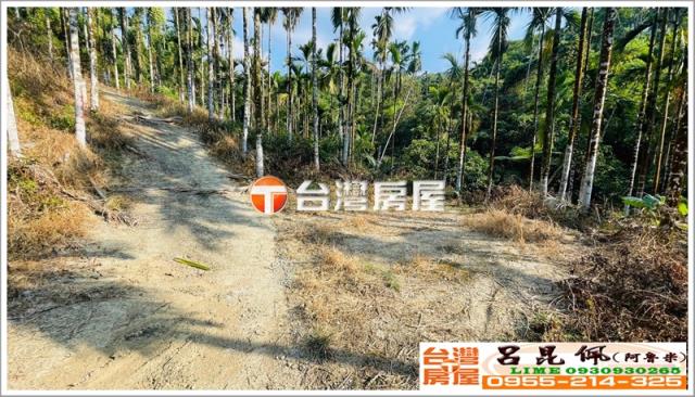 嘉義中埔農地-1