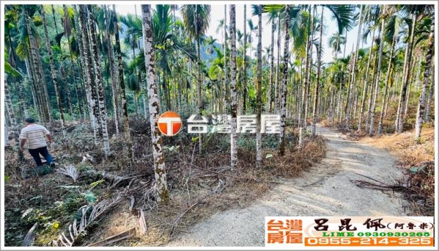 嘉義中埔農地-2