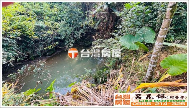 嘉義中埔農地-3