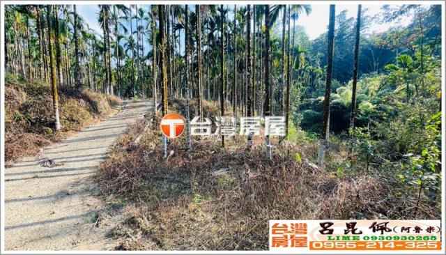 嘉義中埔農地-4