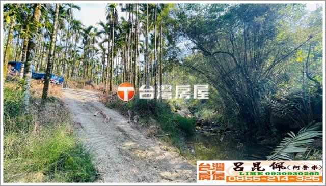 嘉義中埔農地-5