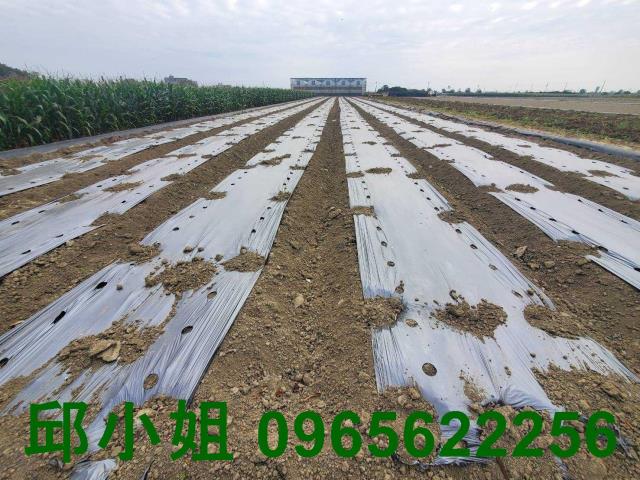 嘉義布袋農地-0