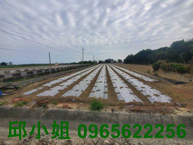 嘉義布袋農地-0