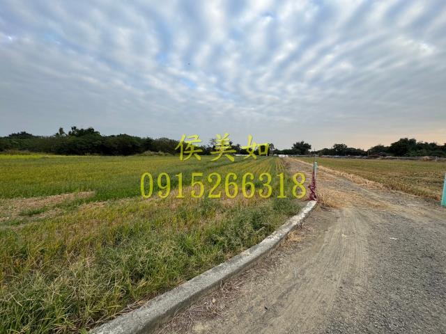 嘉義水上農地-3