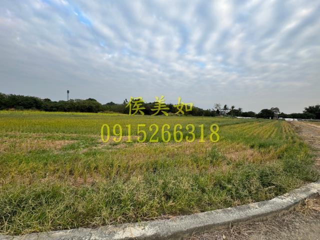 嘉義水上農地-4