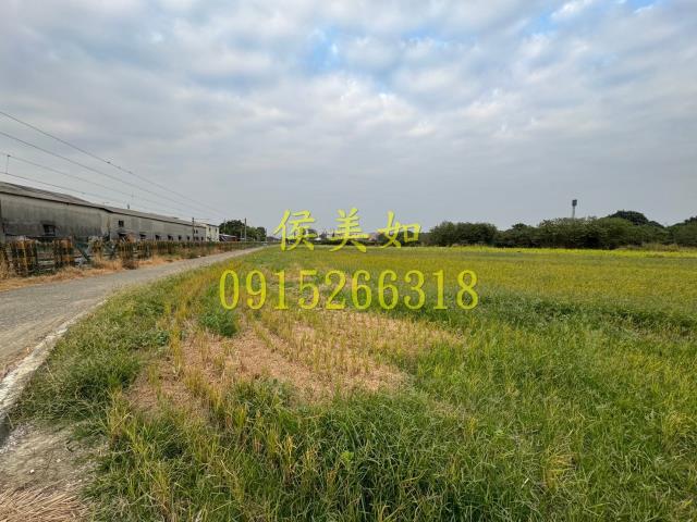 嘉義水上農地-5