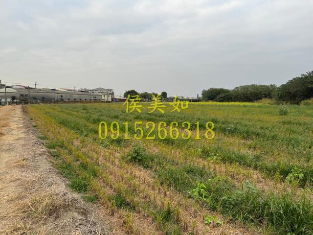 嘉義水上農地-7