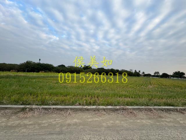 嘉義水上農地-8