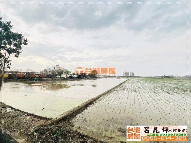 嘉義太保農地-1