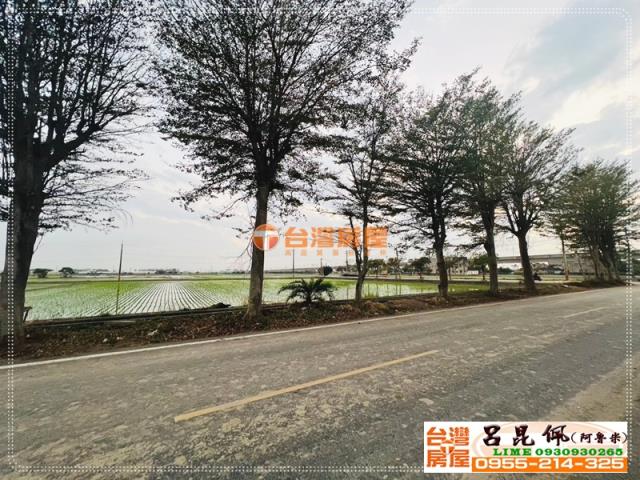 嘉義太保農地-3