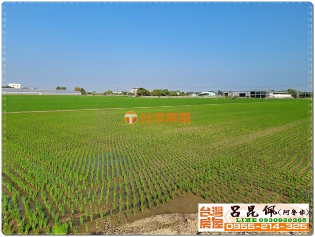 嘉義民雄農地-1