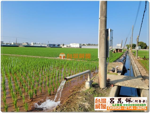 嘉義民雄農地-2