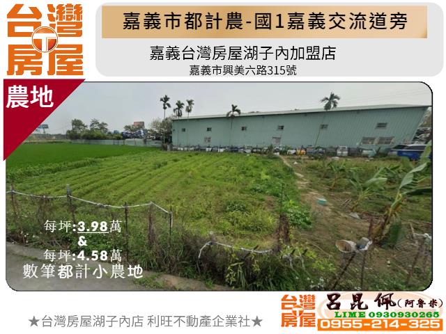 嘉義東區農地-0