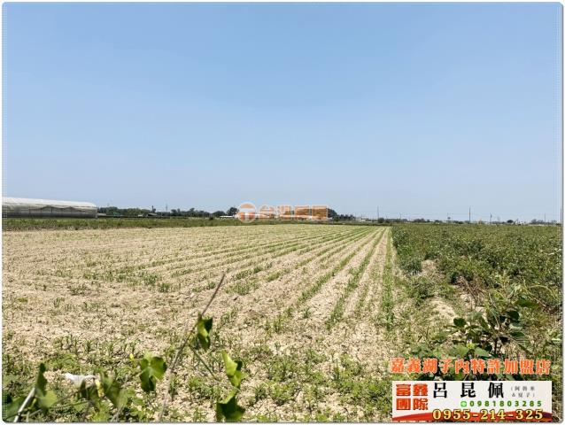 嘉義六腳農地-3