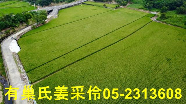 民雄農地-12