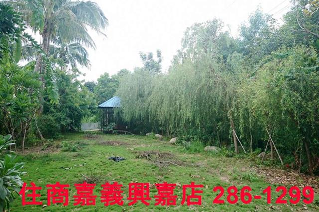 嘉義東區農地-8