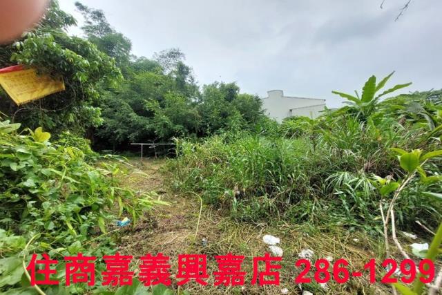 嘉義農地-3