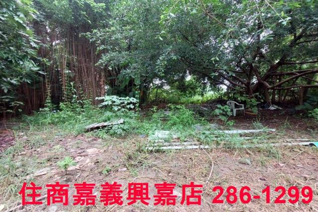 嘉義農地-4