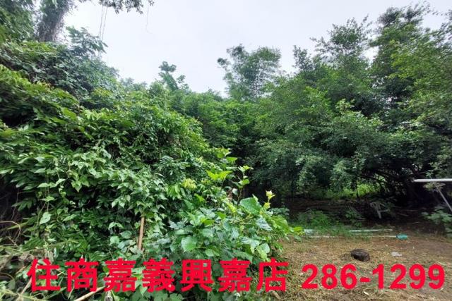 嘉義農地-5