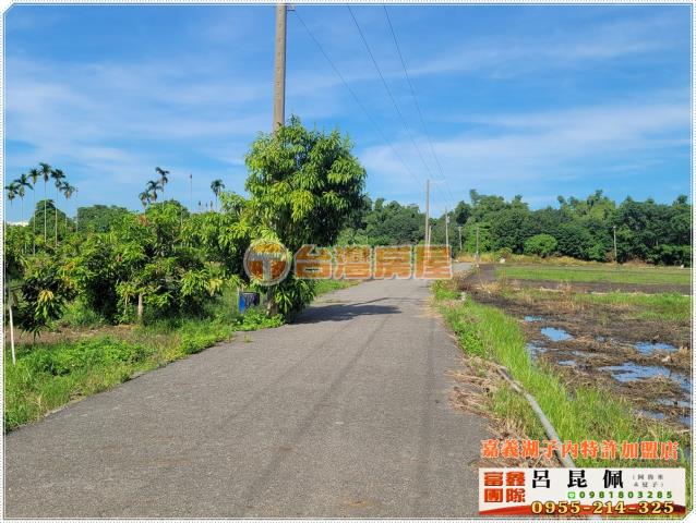 嘉義東區農地-2