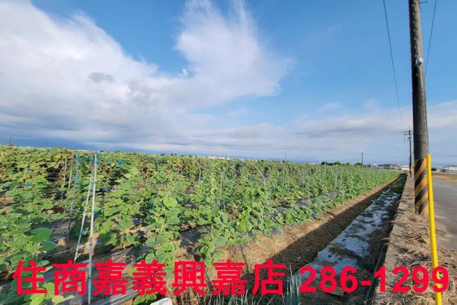 嘉義農地-3