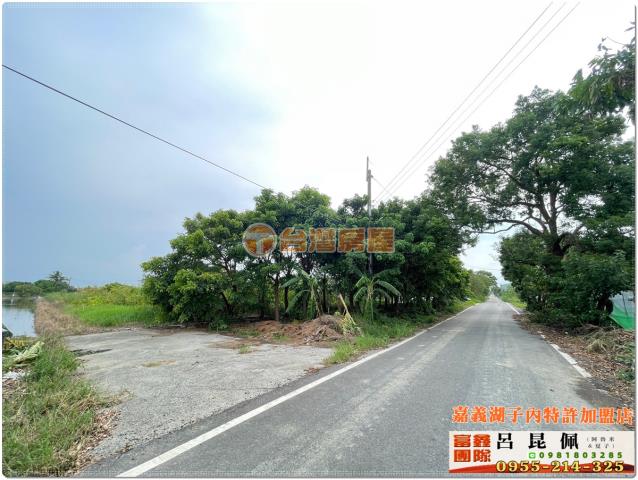 嘉義水上農地-1