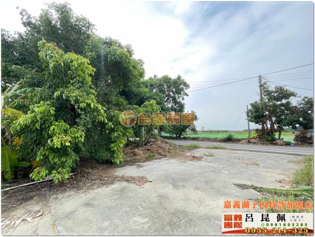 嘉義水上農地-2