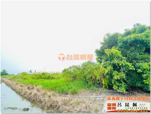 嘉義水上農地-3