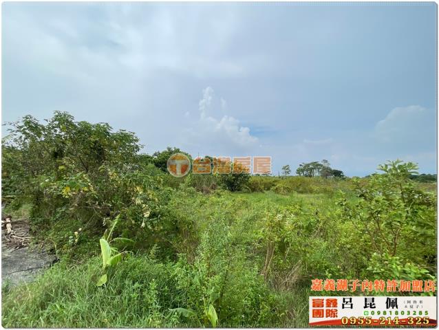 嘉義水上農地-4