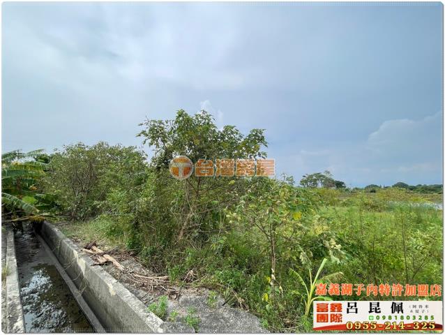 嘉義水上農地-5