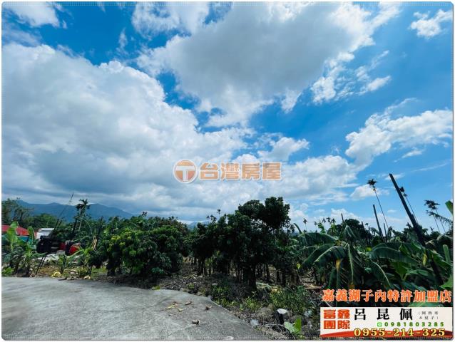 嘉義番路農地-1