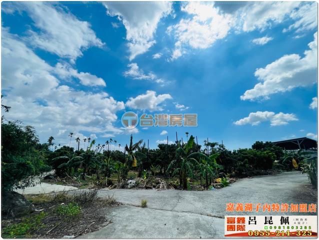 嘉義番路農地-2