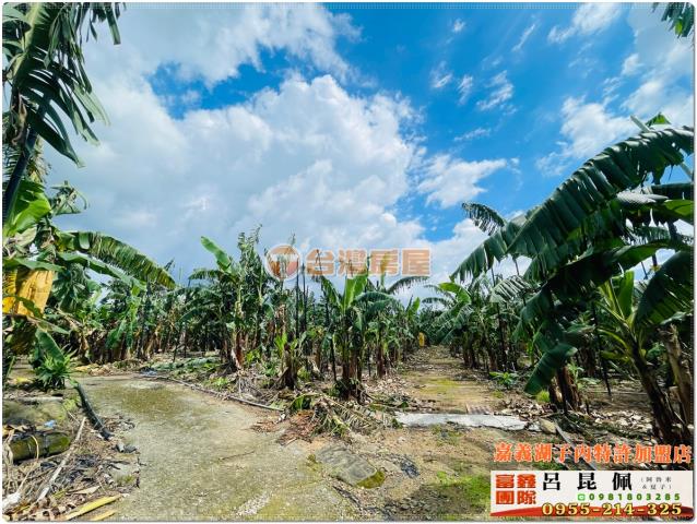 嘉義番路農地-3