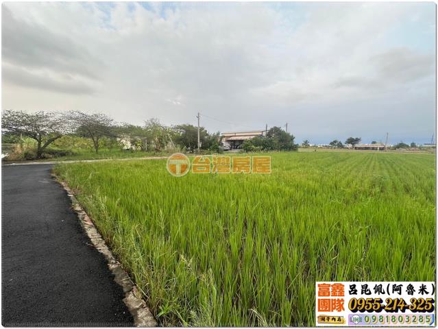 嘉義水上農地-1