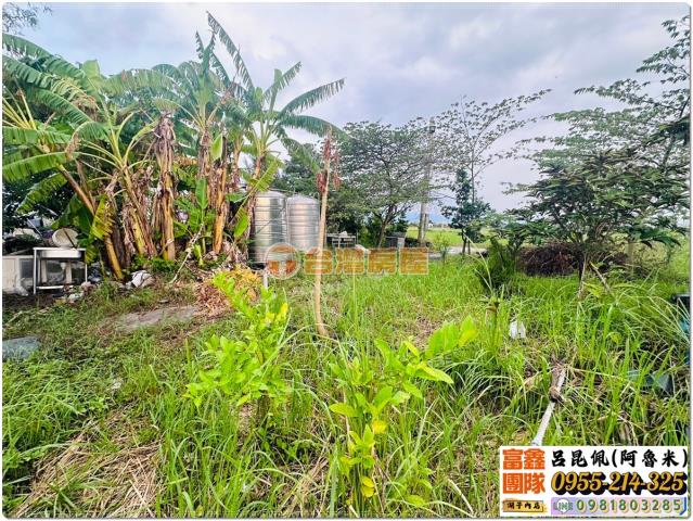 嘉義水上農地-2