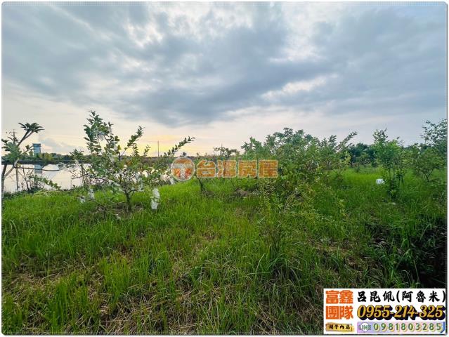 嘉義水上農地-3