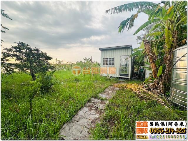 嘉義水上農地-4