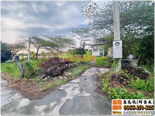 嘉義水上農地-5